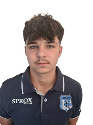 mihai_persu